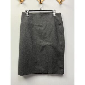 Elegant Gray Women's Skirt